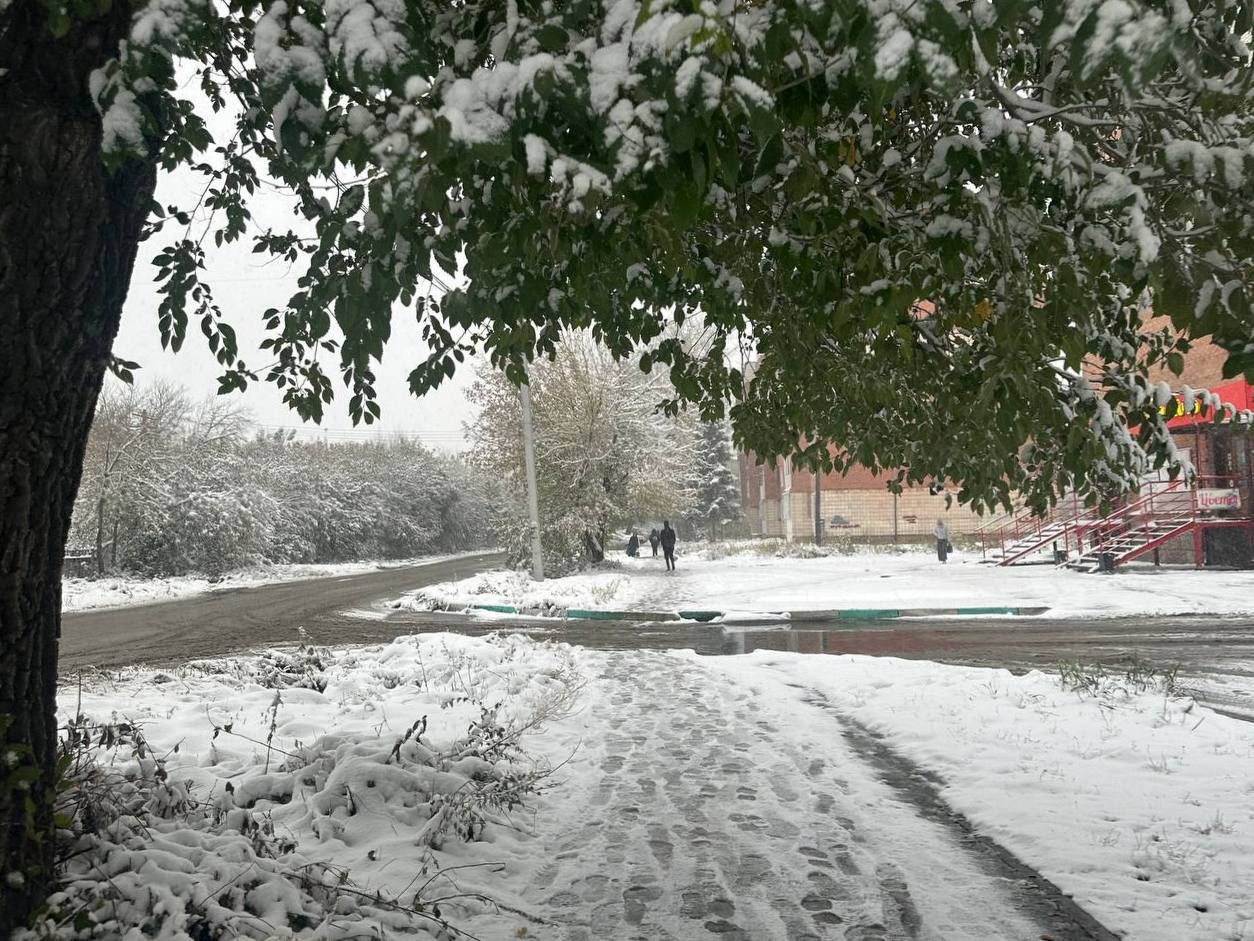 Омск на пороге зимы: с 1 ноября город накрывает метель и резкое похолодание