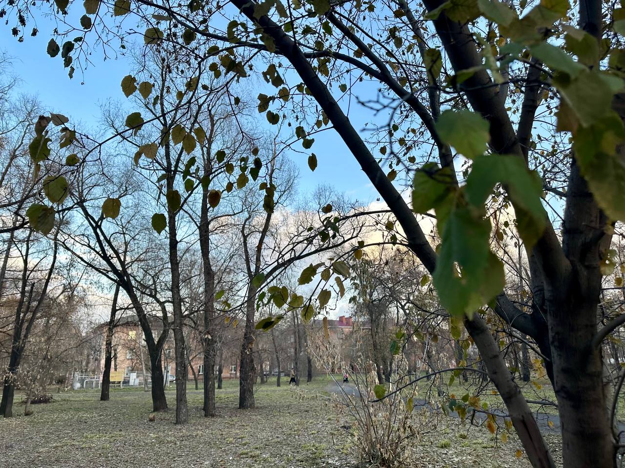 Доброе утро, омичи!. О погоде 31 октября : ночью будет от 0 до +5°, днём от +12 до +17°