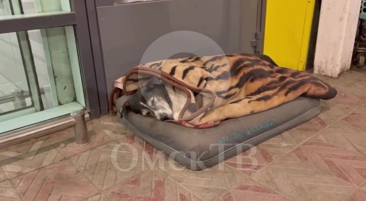 Вот так выглядит счастье в чистом виде