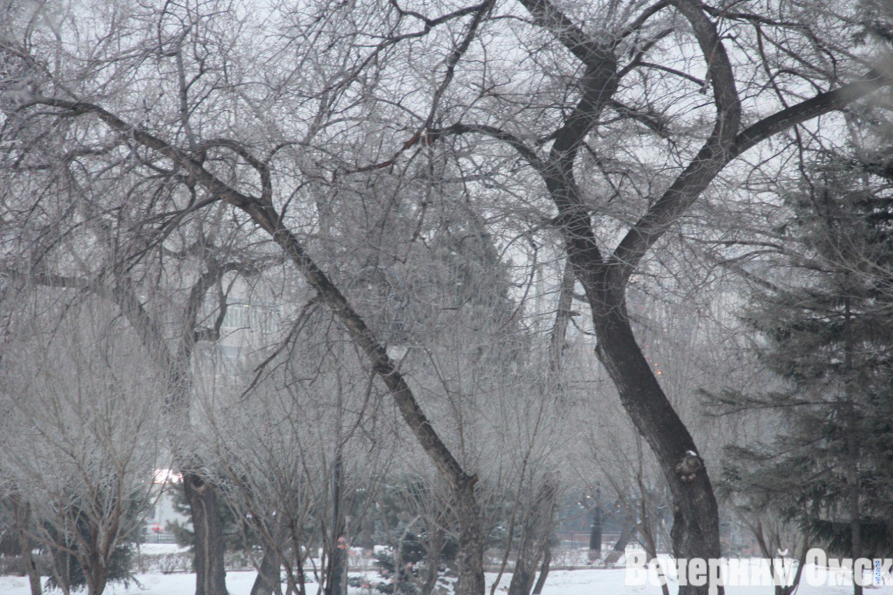 МЧС предупреждает: в Омске ожидается резкое ухудшение погоды