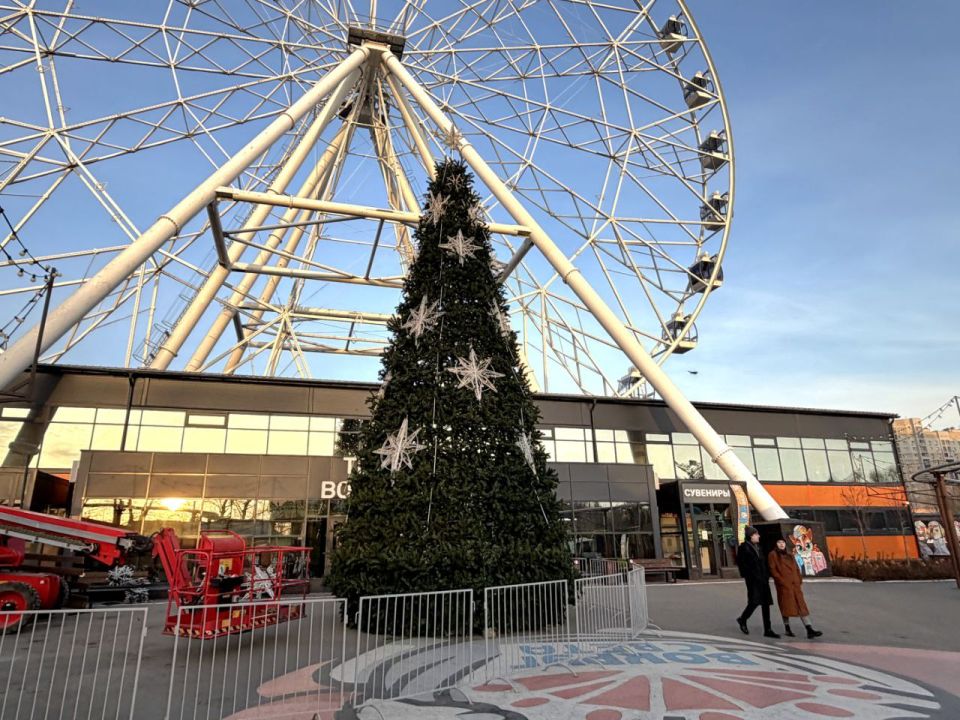 На Зеленом острове установили новогоднюю елку!
