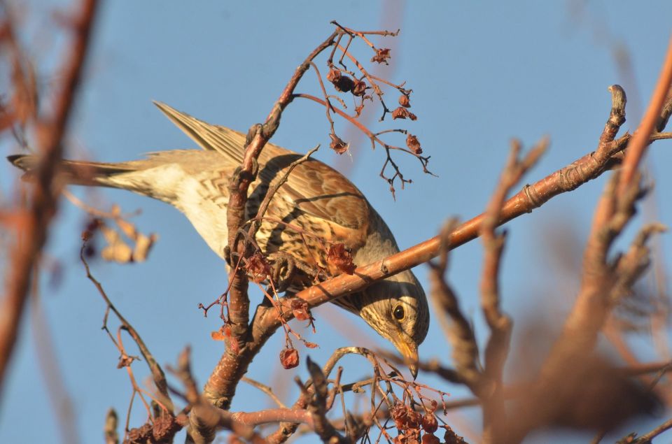  , !.   1 :      0  +5,   +3  +7