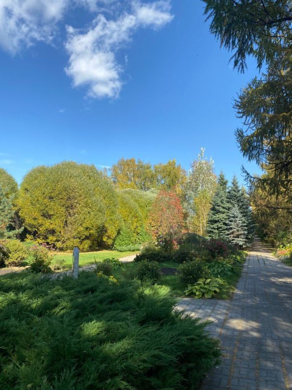 Дендрологический сад им. Г.И. Гензе завершает экскурсионный сезон