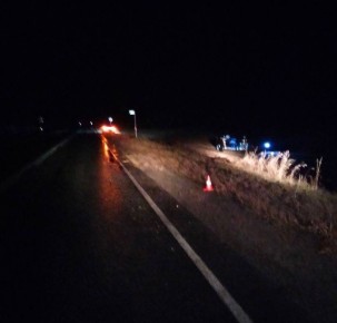 Вчера в 21.10 часов в дежурную часть ОМВД России по Саргатскому району поступило сообщение о ДТП на автодороге «Омск-Тара»