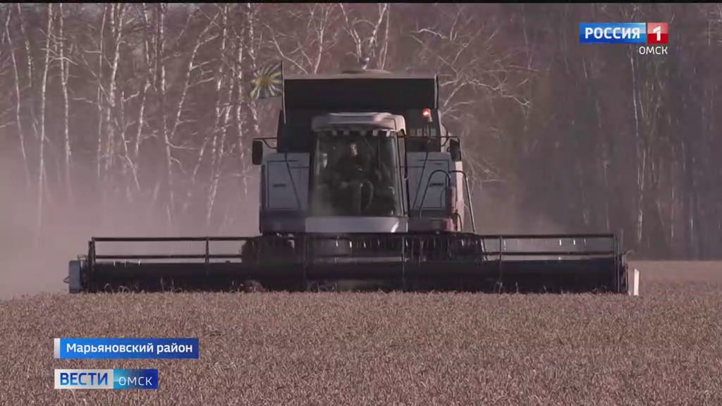 В Омской области завершается уборочная кампания, несмотря на сложные погодные условия