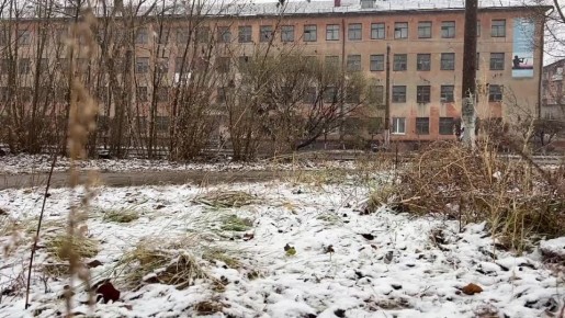 Как и обещали синоптики, в Омске сегодня начался снегопад