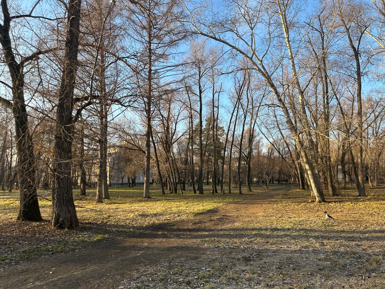 Доброе утро, Омск!. О погоде 3 ноября: в