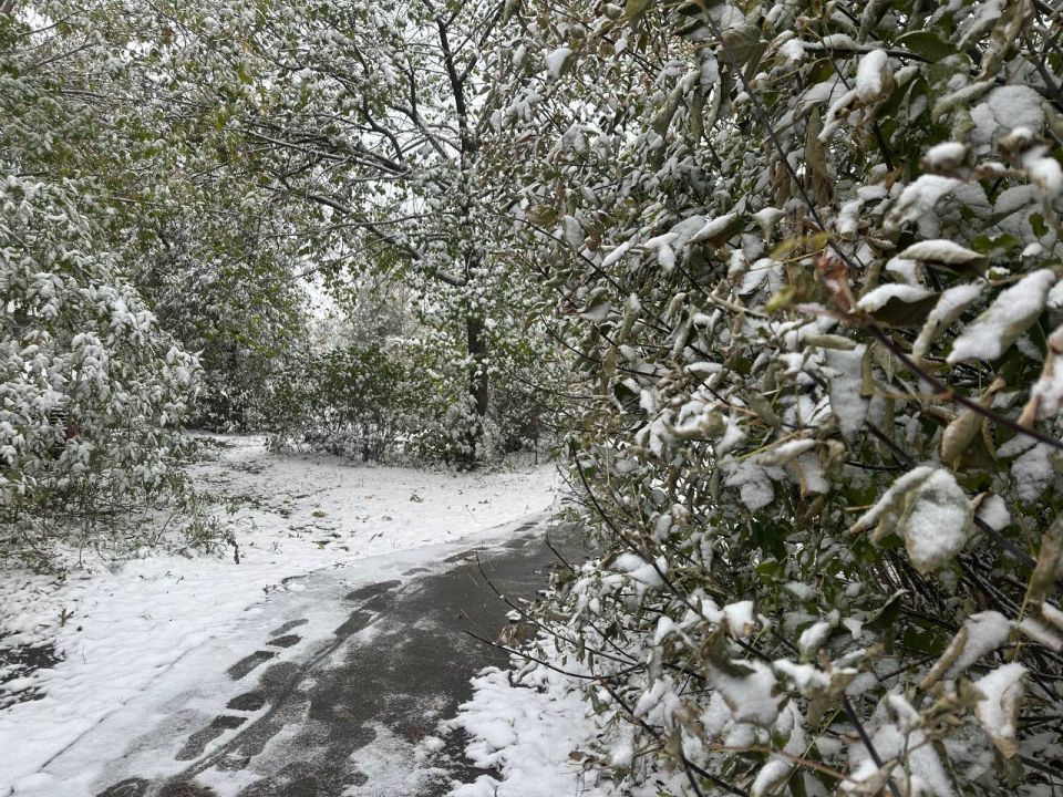  , !.   5 :     -12 -14,  -8 -14 