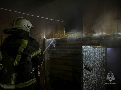 #пожарызасутки. 4 ноября в 22:29 В Тевризе горела баня