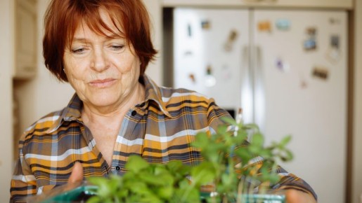 Растение молниеносно пустит корни: просто полейте его этим копеечным средством