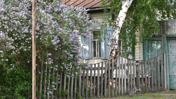 Между застройщиком и собственником: мэрия не будет изымать у омичей частные дома