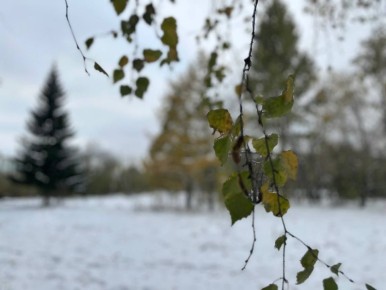 В Омской области снова потеплеет до +5