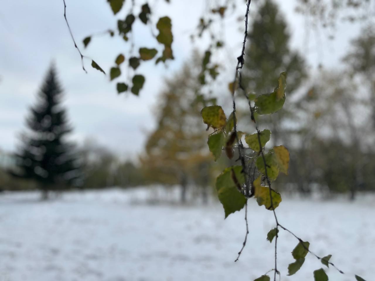 В Омской области снова потеплеет до +5