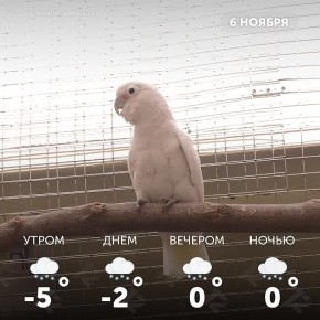 Доброе утро, омичи! Пусть сегодня все складывается так, как вы желаете!