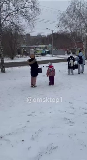 На одной из остановок на улице Гашека омичи заметили двух уток