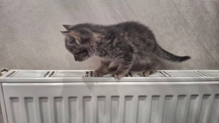 Отопление в порядке: Омск получил паспорт готовности к зиме, несмотря на аварии