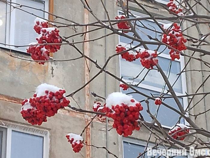 От -12 до +3: синоптики дали прогноз на новую неделю в Омске