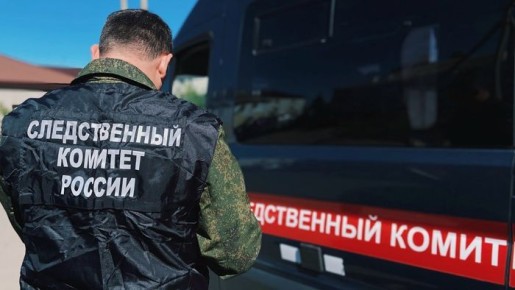 В Омской области сельчанка пойдет под суд за избиение сына руками и ремнем