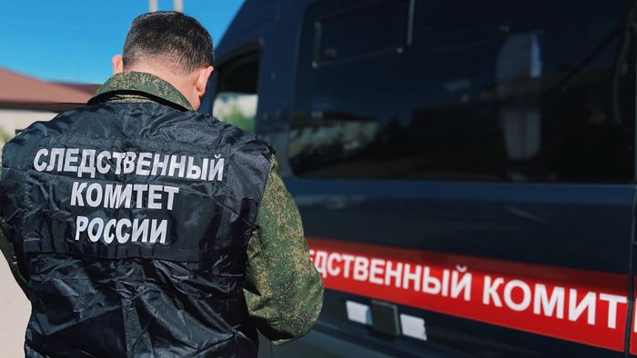 В Омской области сельчанка пойдет под суд за избиение сына руками и ремнем