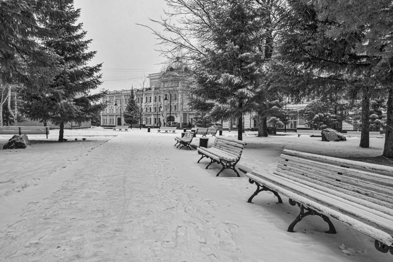 Черно-белый ноябрь — в объективе омского врача скорой помощи Черно-белый ноябрь — в объективе омского врача скорой помощи
