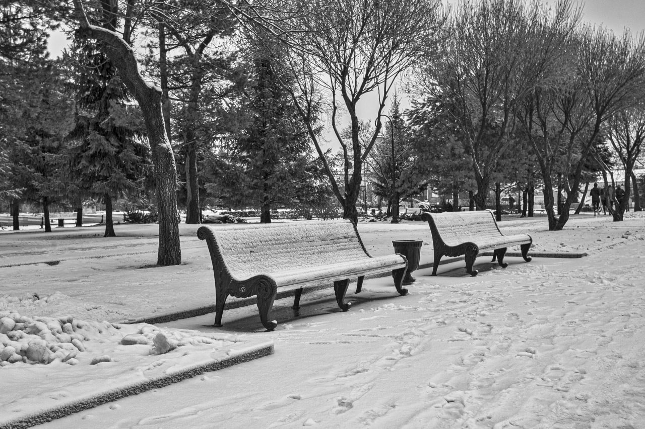 Черно-белый ноябрь — в объективе омского врача скорой помощи Черно-белый ноябрь — в объективе омского врача скорой помощи