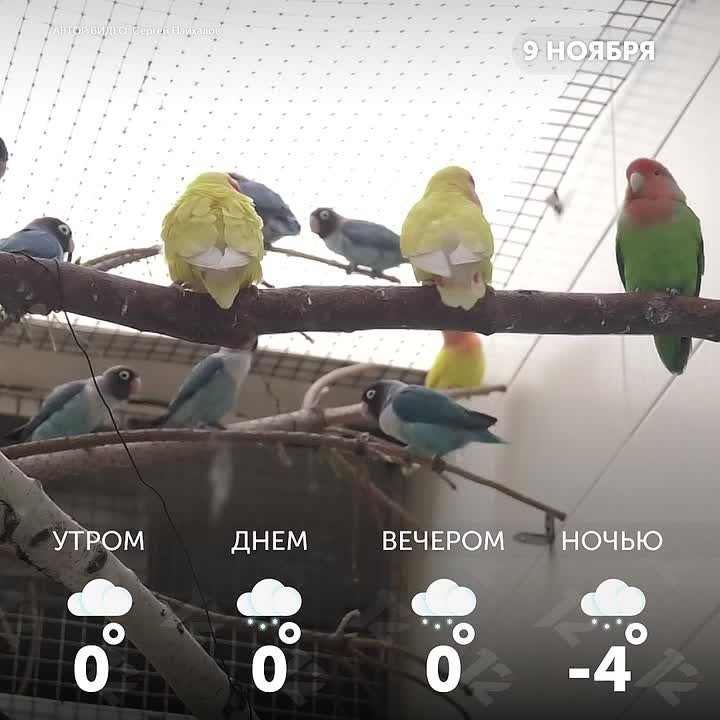 Доброе воскресное утро, Омск! Пусть день будет тёплым и радостным!