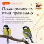 12 ноября — Синичкин день. Российский экологический праздник, который отмечается 12 ноября по инициативе Союза охраны птиц России