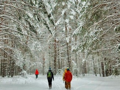 Новогодние каникулы в Омской области: от мистики Окунево до сказочного Рождества в лесу