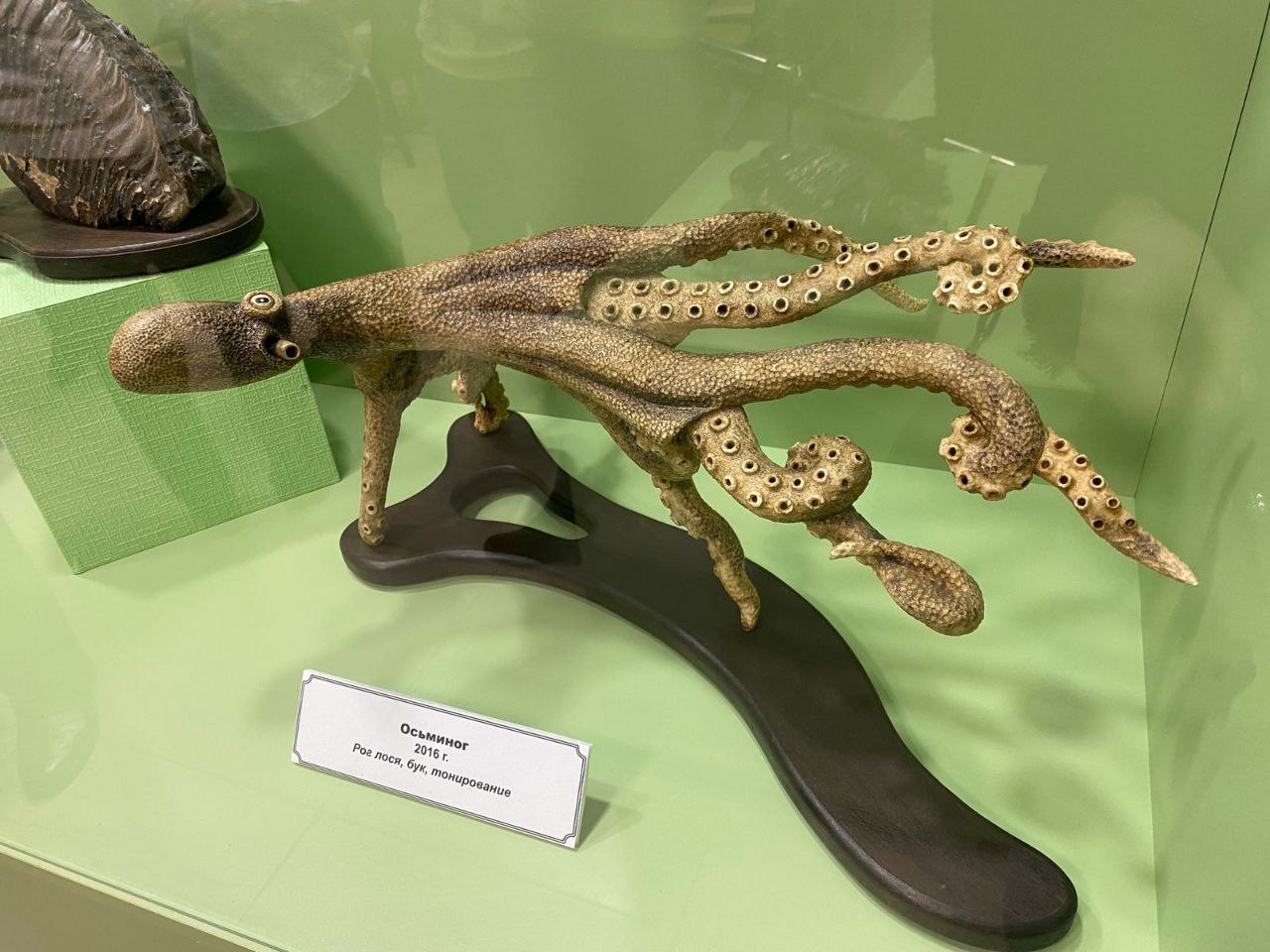 В Краеведческом музее открылась выставка «25-й мамонт» В Краеведческом музее открылась выставка «25-й мамонт»