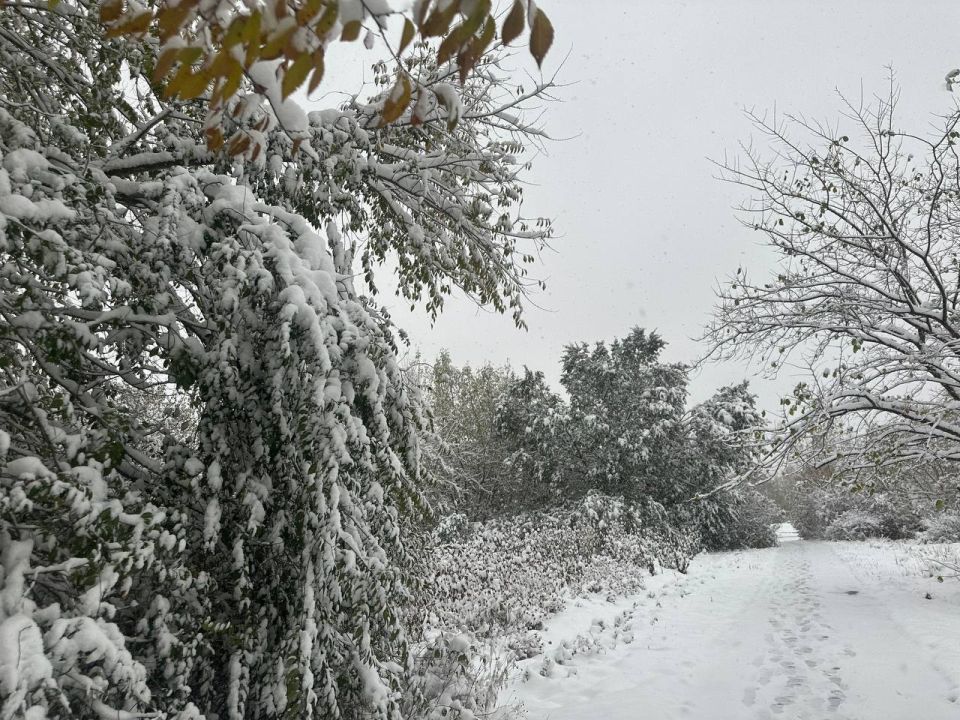 Зима 2025-2026 в Омске будет «короткой» для работы и очень «длинной» для сна