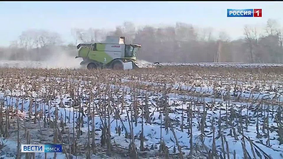 Уборочная кампания в Омской области поставлена на паузу до весны