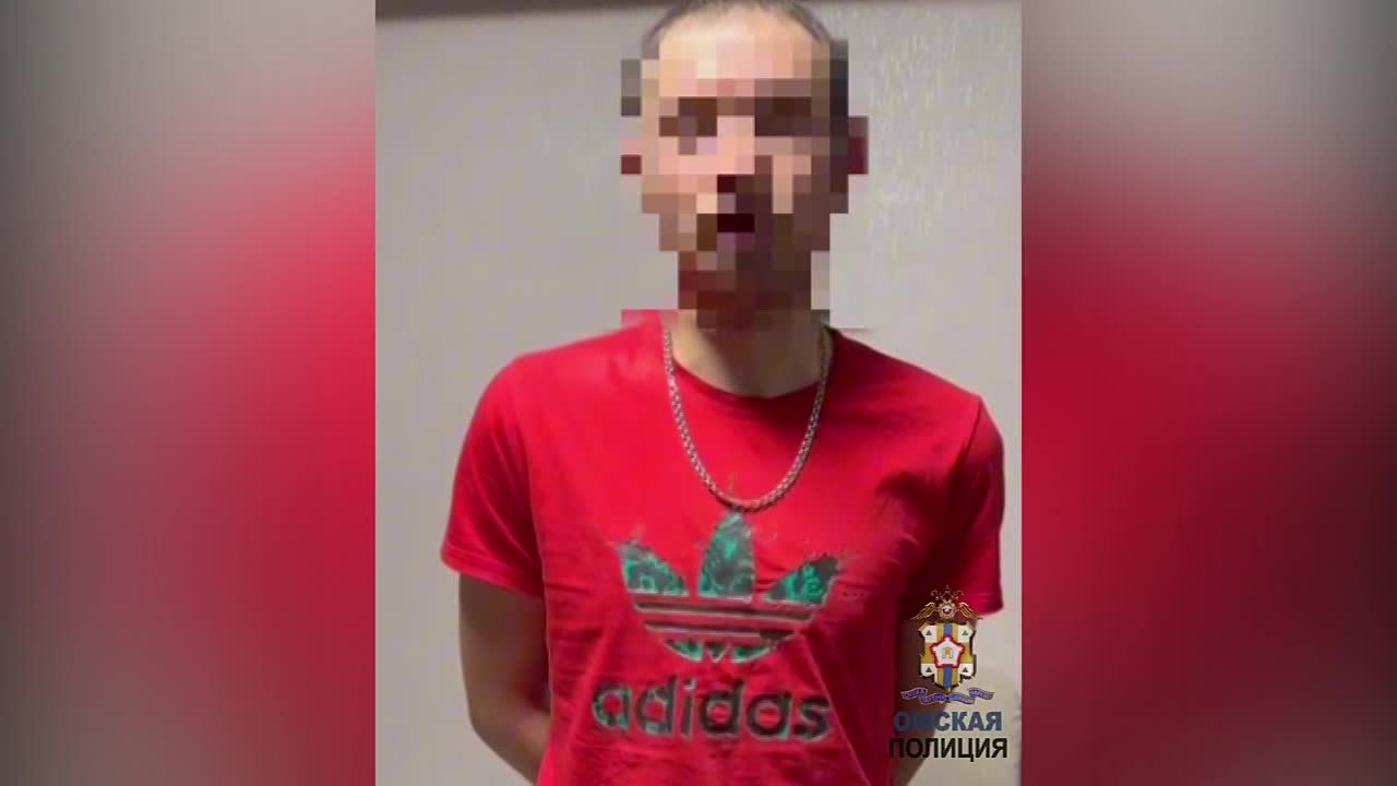 Сотрудниками полиции задержан подозреваемый в поджоге служебного автомобиля