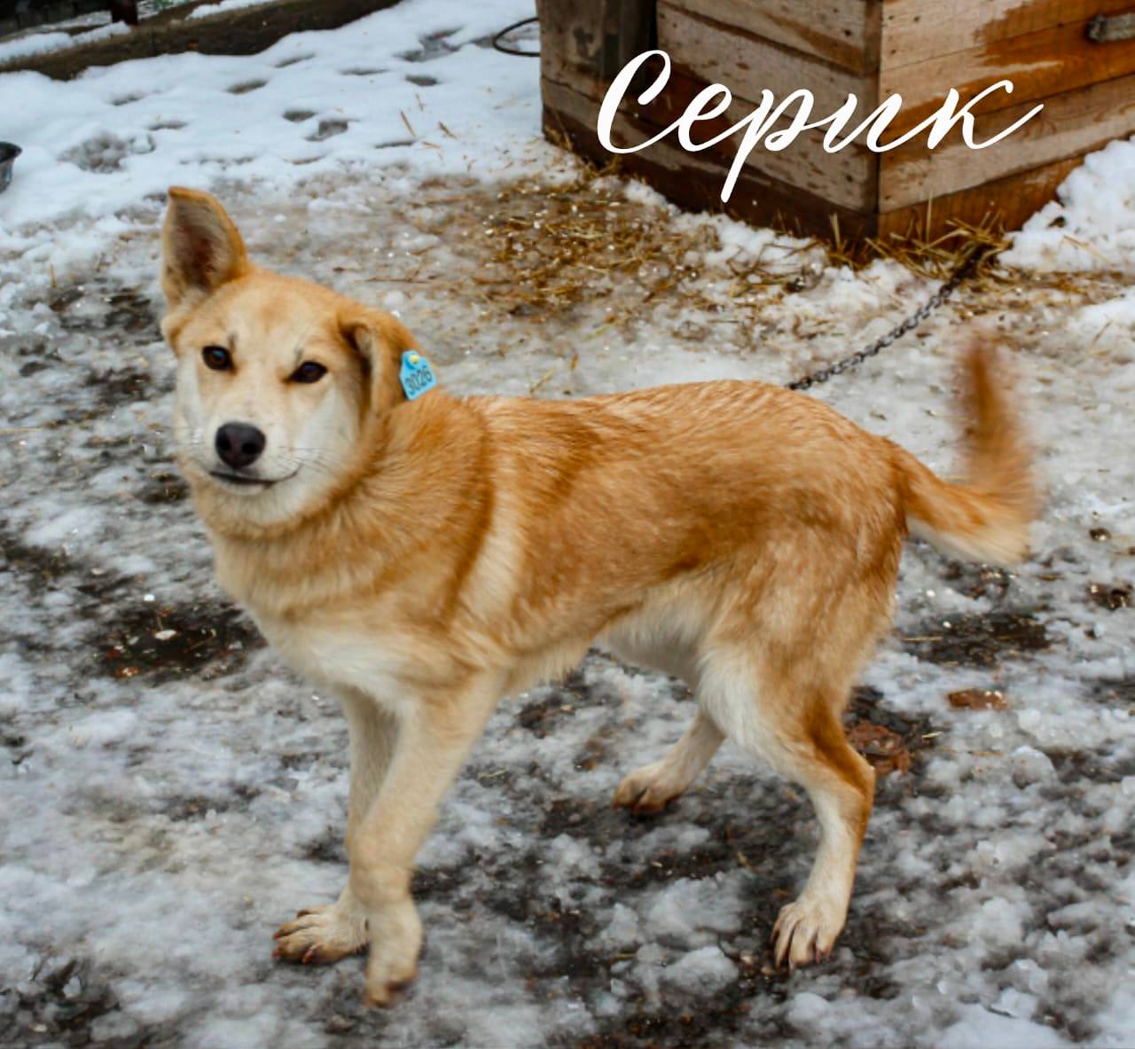 Сегодня — Всемирный день доброты! Сегодня — Всемирный день доброты!