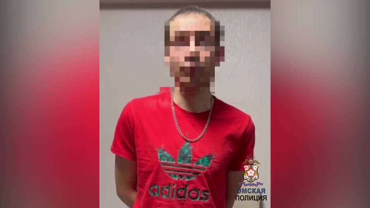 За 700 тысяч – костёр в подарок: в Омске задержали подозреваемого в поджоге служебной машины