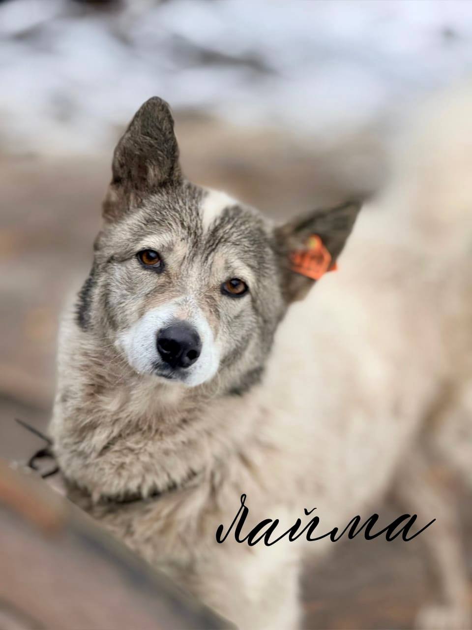 Сегодня — Всемирный день доброты! Сегодня — Всемирный день доброты!