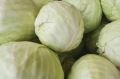 Какой кочан капусты лучше выбросить, чем съесть: хозяйкам следует знать