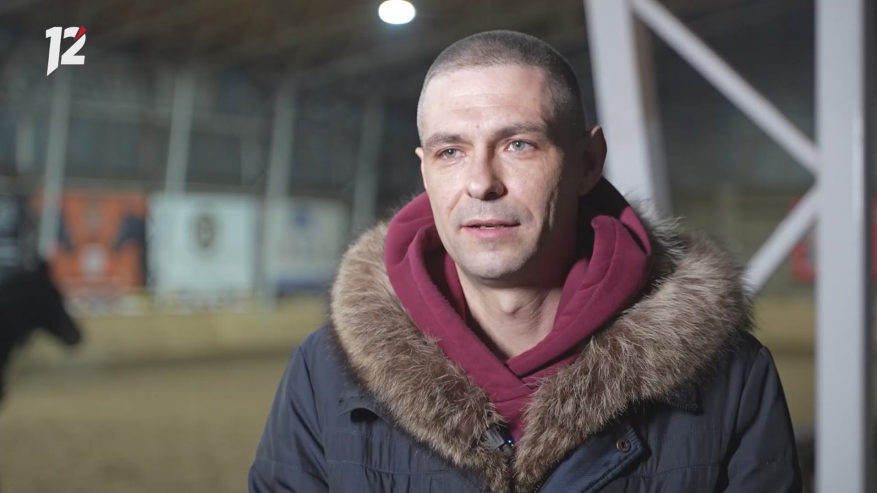 История о заботе и преданности: семья из Омска выхаживает раненного коня