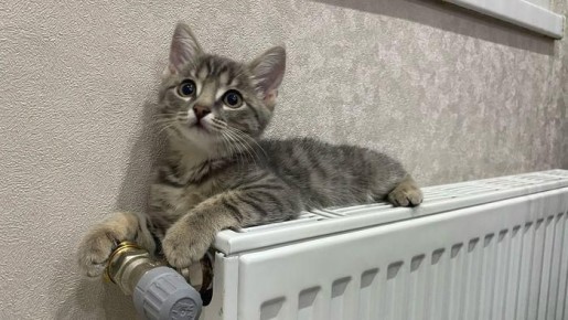 Омская область впервые за 12 лет готова к отопительному сезону