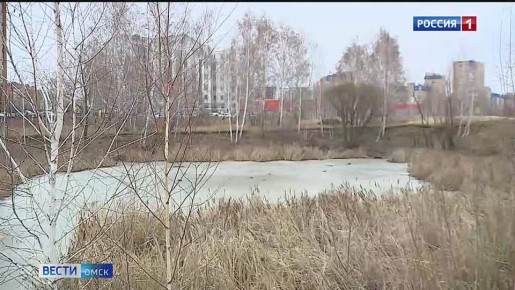 Зима в Омск пока не торопится