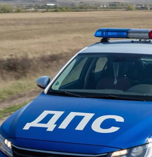 На трассе Омск – Одесское ночью неизвестный сбил насмерть пешехода и скрылся