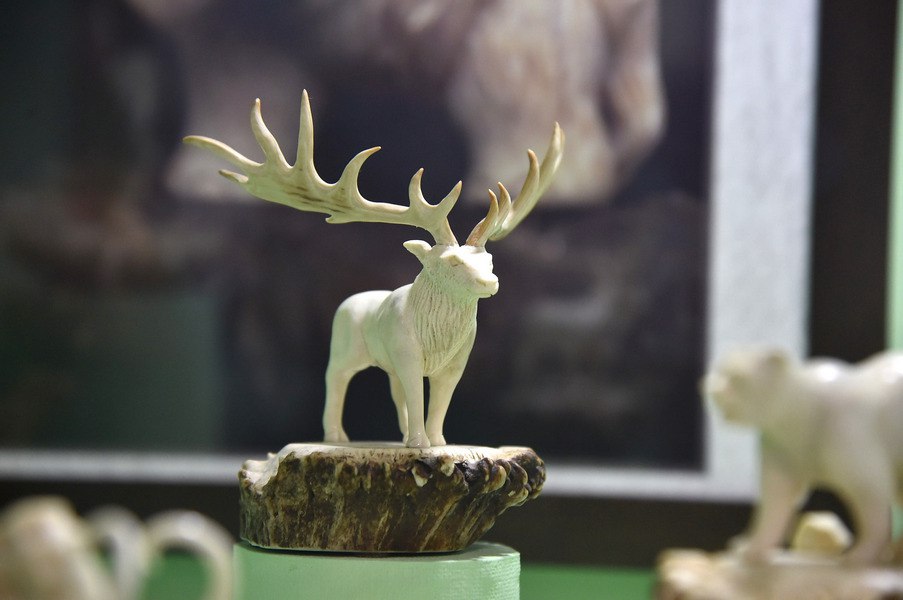 В Краеведческом музее омичей встречают 25 мамонтов и марсианин В Краеведческом музее омичей встречают 25 мамонтов и марсианин