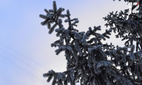 В Омске ожидается небольшое потепление