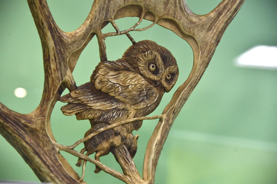 В Краеведческом музее омичей встречают 25 мамонтов и марсианин В Краеведческом музее омичей встречают 25 мамонтов и марсианин