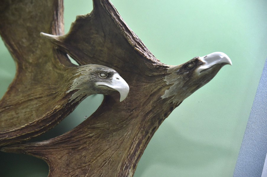 В Краеведческом музее омичей встречают 25 мамонтов и марсианин В Краеведческом музее омичей встречают 25 мамонтов и марсианин