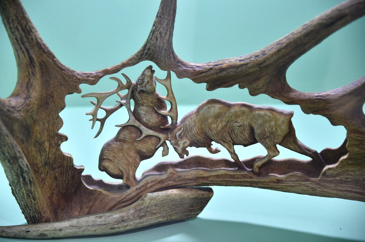 В Краеведческом музее омичей встречают 25 мамонтов и марсианин В Краеведческом музее омичей встречают 25 мамонтов и марсианин