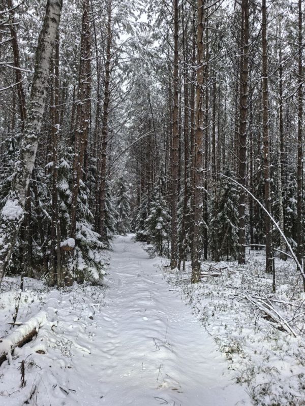Мы приготовили для вас новую викторину о нашем регионе