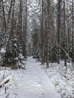Мы приготовили для вас новую викторину о нашем регионе