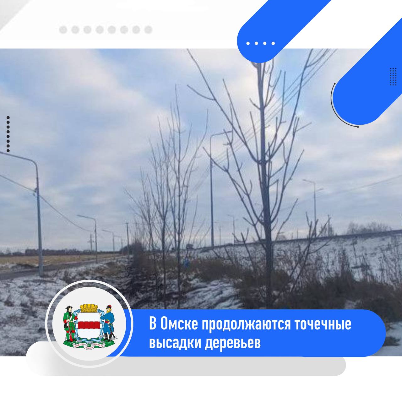 В Омске продолжаются точечные высадки деревьев