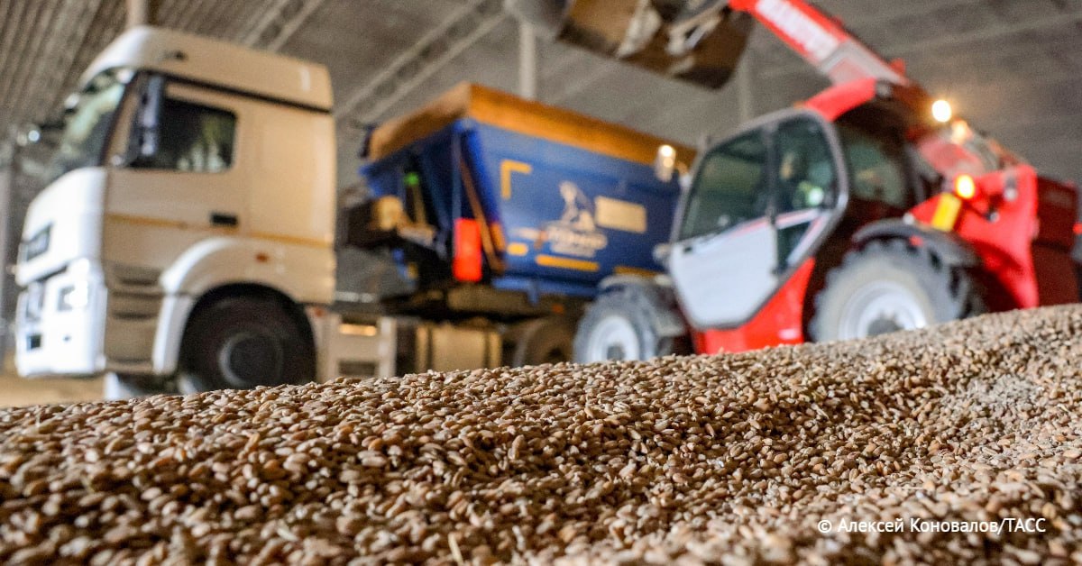 Продукция омского АПК в 2025 году впервые была поставлена в Иорданию, Колумбию и Того, рассказал ТАСС губернатор области Виталий Хоценко