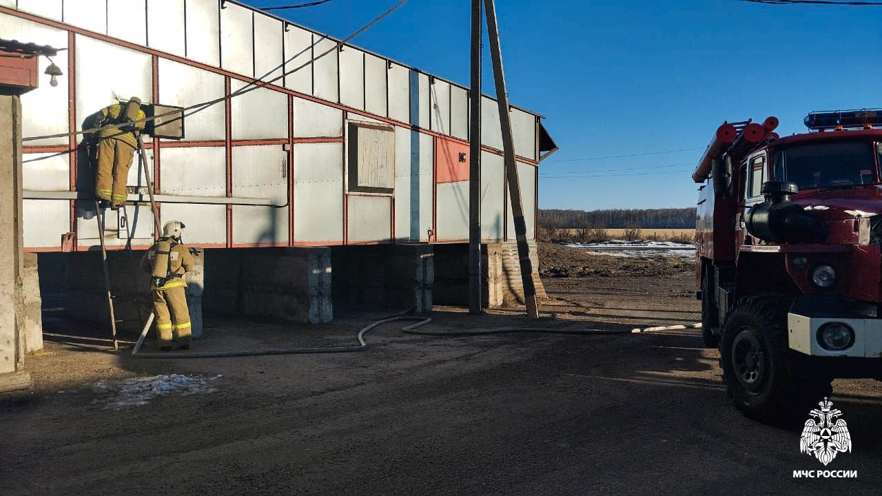 #пожарызасутки. 16 ноября в 09:42 В Оконешниковском районе горела зерносушилка #пожарызасутки. 16 ноября в 09:42 В Оконешниковском районе горела зерносушилка